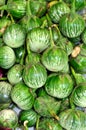 Thai Green Eggplant Royalty Free Stock Photo