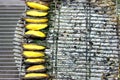 Thai Grilled bananas on the grill. Royalty Free Stock Photo