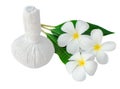 Thai herbal compress for spa with frangipani Royalty Free Stock Photo