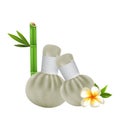 Thai herbs compress massage spa vector design