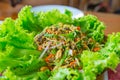 Thai Horseshoe crab egg salad mix chili hot spicy seafood Royalty Free Stock Photo