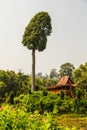 Thai house style, Teakwood home Royalty Free Stock Photo