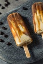 Thai Iced Coffee Ice Cream Bar Royalty Free Stock Photo