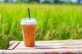 Thai Iced coffee tea with milk and black straw on wood table blurred rice field background Royalty Free Stock Photo