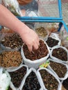 Thai Insect cuisine Royalty Free Stock Photo