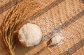 Thai Jasmine rice in ceramic bowl and wooden spoon with ear of paddy on threshing basket Royalty Free Stock Photo