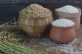 Thai Jasmine rice and paddy on the wooden table. Royalty Free Stock Photo