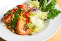 Thai Jumbo Shrimp Salad Royalty Free Stock Photo