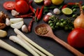 Thai kitchen. Various herbs, spices  and Ingredients on dark background. Top view with copy space Royalty Free Stock Photo