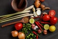 Thai kitchen. Various herbs, spices  and Ingredients on dark background. Top view with copy space Royalty Free Stock Photo