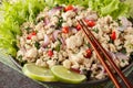 Thai Larb Gai salad made with ground chicken, red onion and fresh herbs closeup on the plate. Horizontal