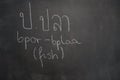 Thai letter written on black chalkboard Royalty Free Stock Photo