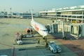 Thai Lion airline loading cargo on the plane