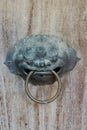 Thai lion door knocker