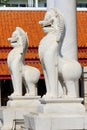 Thai Lion Marble at Wat Benchamabopit Dusitvanaram