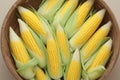 Thai local breed organic corns in basket, agriculture product concept