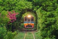 Thai local train on railway with green trees tunnel corridor, Bangkok, Thailand. Way through national park garden in summer season Royalty Free Stock Photo