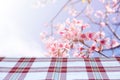Thai loincloth with Thai sakura