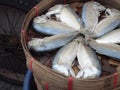 Thai mackerel fish steamed on bamboo basket