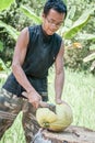 Thai man peels fresh coconut in the jungle