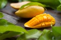 Thai mango with green leaves