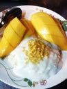 Thai mango and stiky rice with coconut milk Royalty Free Stock Photo