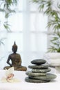 Thai massage with massage stones Royalty Free Stock Photo