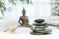 Thai massage with massage stones Royalty Free Stock Photo