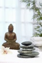 Thai massage with massage stones Royalty Free Stock Photo