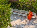 Thai Monk