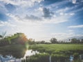 Thai nature landscape sunset on rice field with beautiful blue sky and clouds reflectio Royalty Free Stock Photo