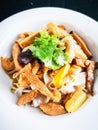 Thai noodle tofu Royalty Free Stock Photo