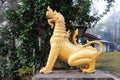 Thai Oriental Golden Lion