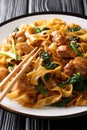 Thai Pad See Ew noodles with chicken, Chinese broccoli and egg close-up on a plate. vertical Royalty Free Stock Photo