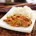 Thai panang beef curry Royalty Free Stock Photo