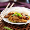 Thai panang beef curry Royalty Free Stock Photo