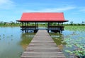 Thai pavilion in lotus pond Royalty Free Stock Photo