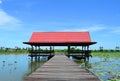 Thai pavilion in lotus pond Royalty Free Stock Photo