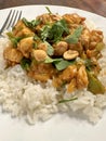 Thai Peanut Stir-Fry on top of rice side point of view