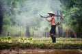 Thai peasant works in rice field, Rural Countryside of Thailand