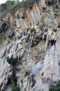 Thai people climber and foreign mountaineer travelers sport rock climbing at Dragon Crest Precipice Mountain and Railay Stone