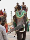 Thai people, elephant and mahout parade Pavilion at a wat par Lahansai temple , 31 January 2024 , Buriram Thailand