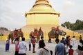 Thai people, elephant and mahout parade Pavilion at a wat par Lahansai temple , 31 January 2024 , Buriram Thailand