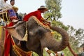 Thai people, elephant and mahout parade Pavilion at a wat par Lahansai temple , 31 January 2024 , Buriram Thailand