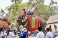 Thai people, elephant and mahout parade Pavilion at a wat par Lahansai temple , 31 January 2024 , Buriram Thailand