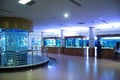Thai people and foreign travelers travel visit learn Aquatic animals in fish glass acrylic tanks of Zoo Aquarium Bueng Chawak