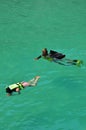 Thai people and foreign travelers travel visit swimming and snorkeling scuba diving see coral and beautiful fancy small fishes in