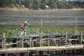 Thai people and foreigner travelers travel and walking visit on Kae Dam long wood bridge at Maha Sarakham, Thailand