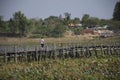 Thai people and foreigner travelers travel and walking visit on Kae Dam long wood bridge at Maha Sarakham, Thailand