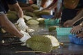 Thai people greengrocer peeling durian fruit for travelers people Royalty Free Stock Photo